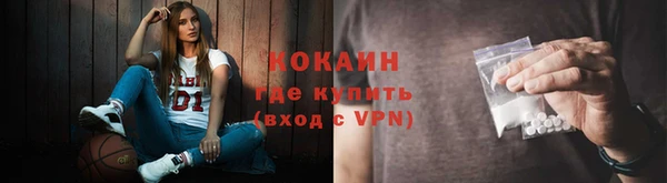 стаф Абинск