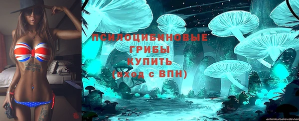 стаф Абинск