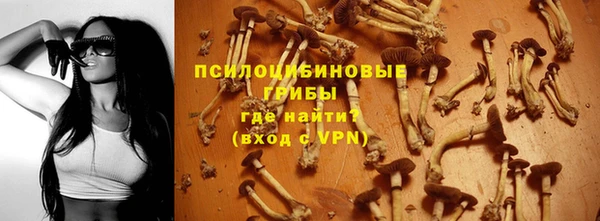 стаф Абинск