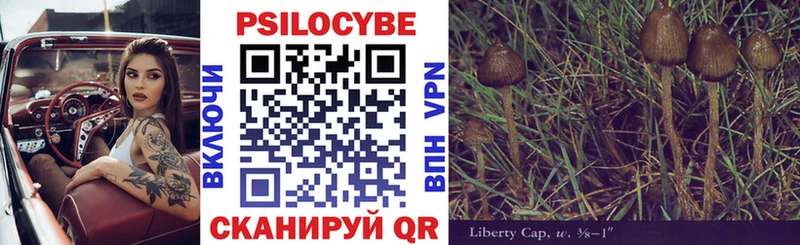 кракен зеркало  где продают   Красный Сулин  Псилоцибиновые грибы Cubensis 