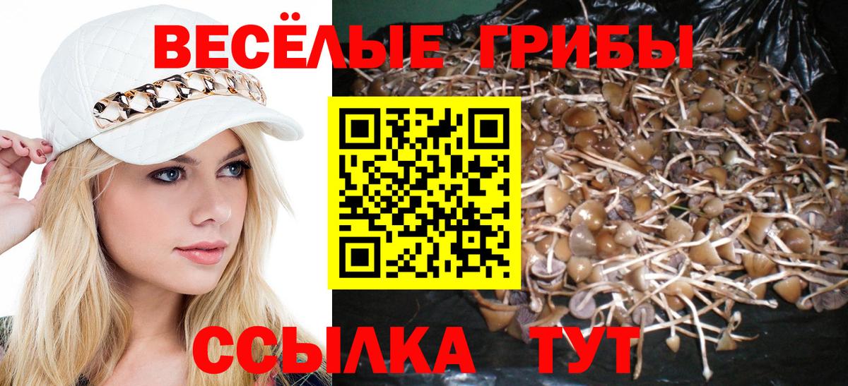 Псилоцибиновые грибы GOLDEN TEACHER  Вход с VPN  Красный Сулин  Галлюциногенные грибы Magic Shrooms 