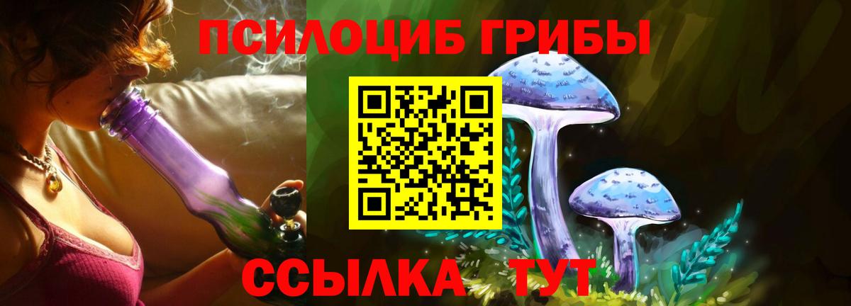 Псилоцибиновые грибы прущие грибы Красный Сулин